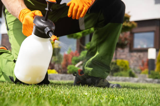 Best Affordable Pest Control Services  in Ruston, WA