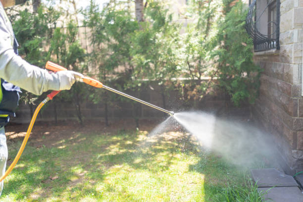 Best Cockroach Control Services  in Ruston, WA